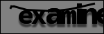 Texte à identifier