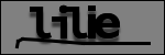 Texte à identifier