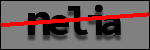 Testo da Identificare