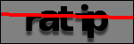 Testo da Identificare