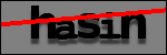 Text to Identify