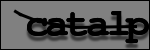 Testo da Identificare