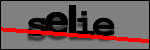 Texte à identifier
