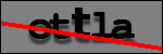 Testo da Identificare