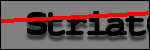 Testo da Identificare