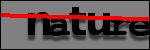Testo da Identificare