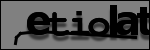 Texte à identifier
