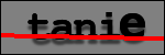 Testo da Identificare