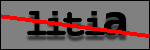 Testo da Identificare