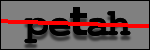 Testo da Identificare