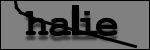 Texte à identifier