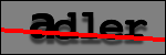 Testo da Identificare
