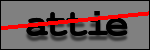 Testo da Identificare