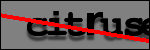 Testo da Identificare