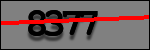 Testo da Identificare