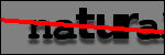 Testo da Identificare