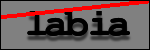 Testo da Identificare