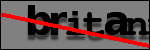 Testo da Identificare