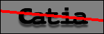 Testo da Identificare