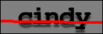 Testo da Identificare