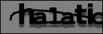Testo da Identificare