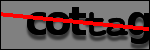 Testo da Identificare
