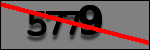Testo da Identificare
