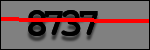 Testo da Identificare