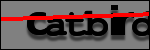 Testo da Identificare