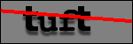 Testo da Identificare