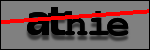 Testo da Identificare