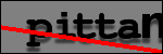 Testo da Identificare