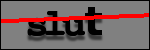 Testo da Identificare