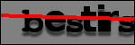 Testo da Identificare