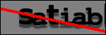 Testo da Identificare