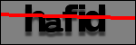 Testo da Identificare