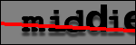 Testo da Identificare