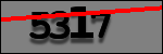 Testo da Identificare
