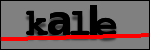 Text to Identify