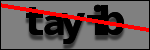 Text to Identify