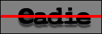 Text to Identify