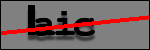 Text to Identify