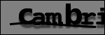 Text to Identify