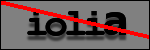 Text to Identify