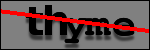 Text to Identify