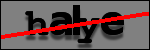 Text to Identify