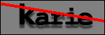 Text to Identify