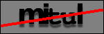 Text to Identify