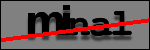 Text to Identify