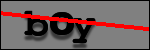 Text to Identify